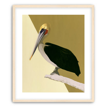 Pelican in quiet balance