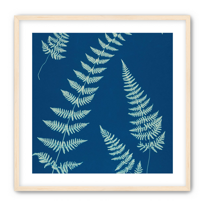Fern shadows in blue