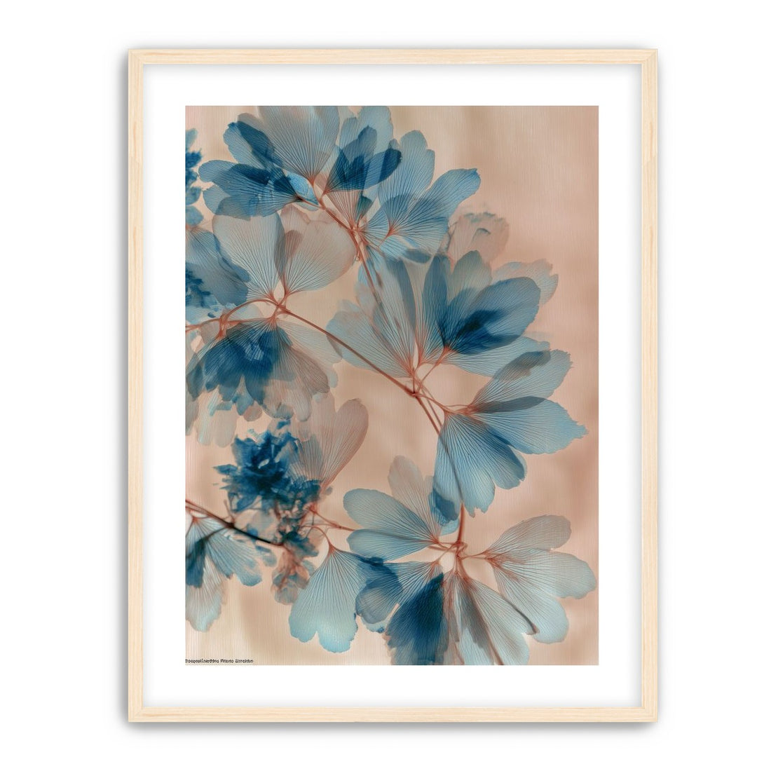 Light Held in the Blossoms