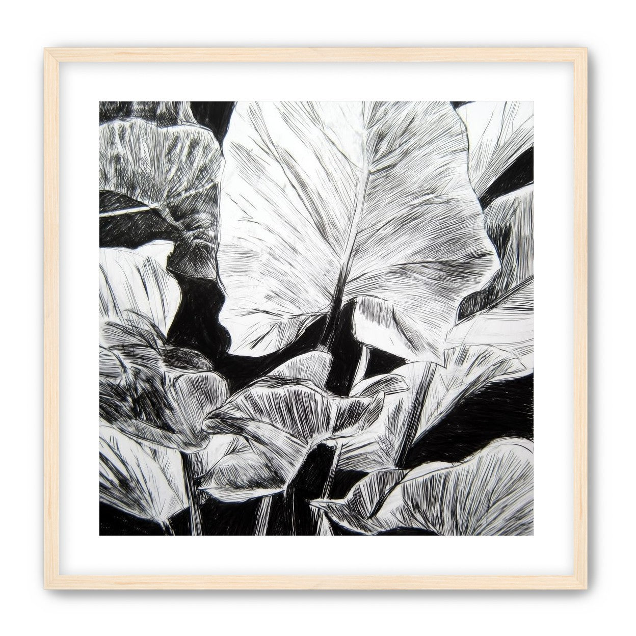 A Cluster of Leaves