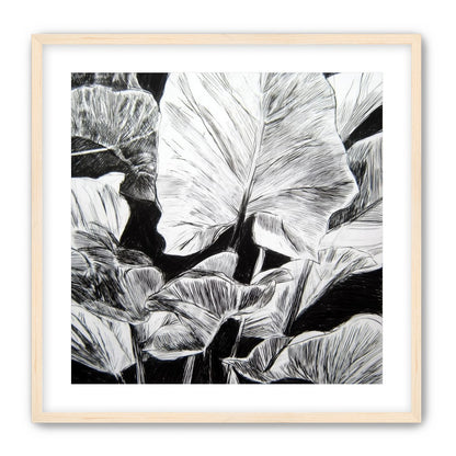 A Cluster of Leaves