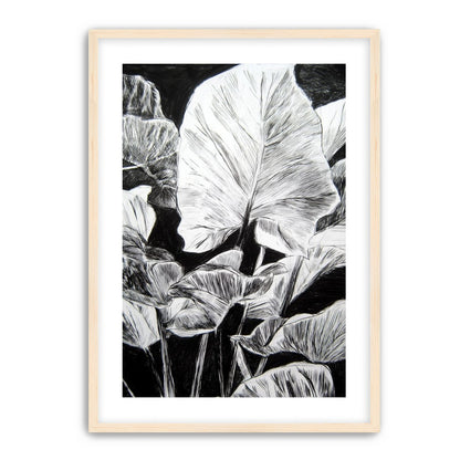 A Cluster of Leaves