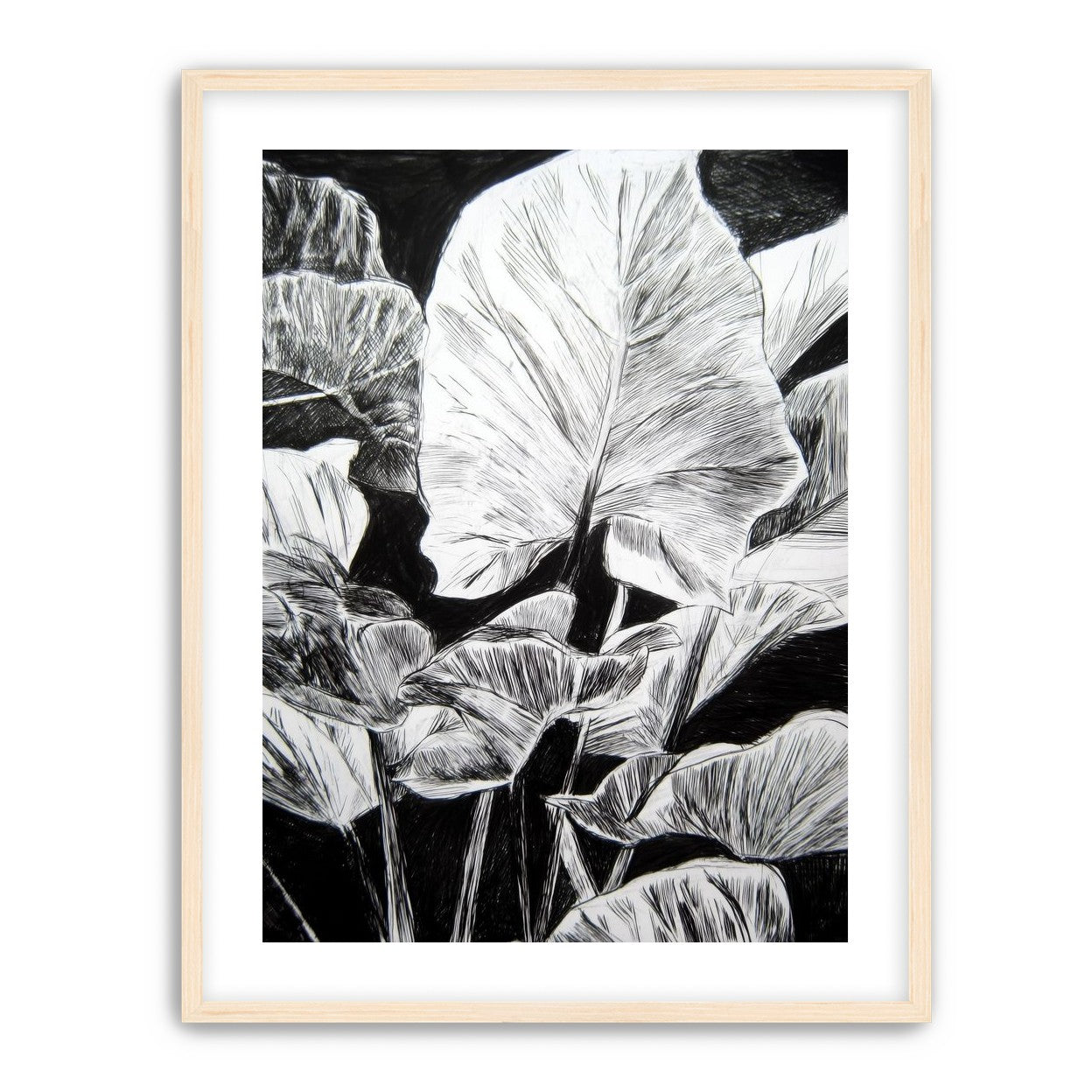 A Cluster of Leaves