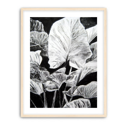 A Cluster of Leaves