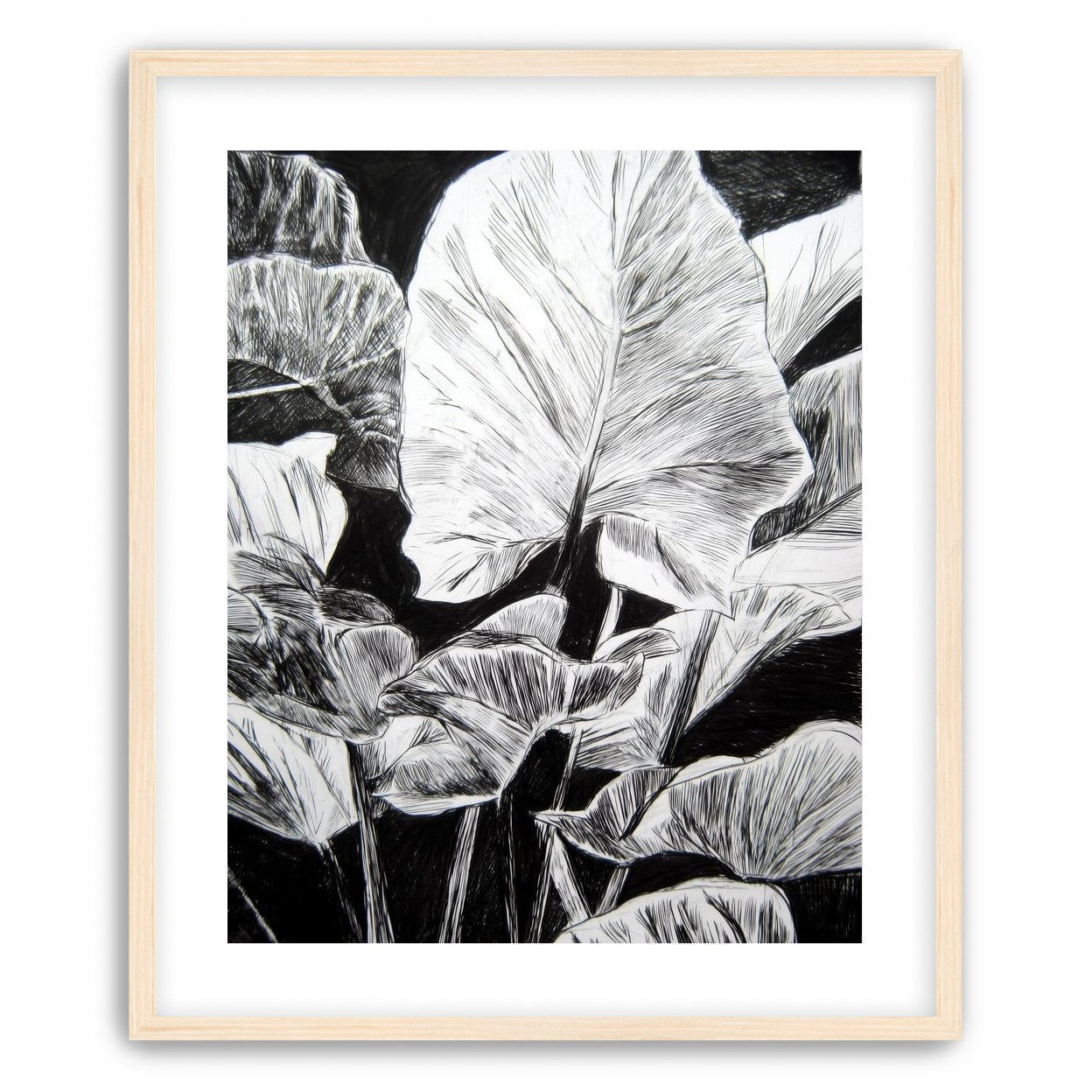 A Cluster of Leaves