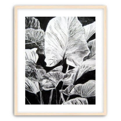 A Cluster of Leaves