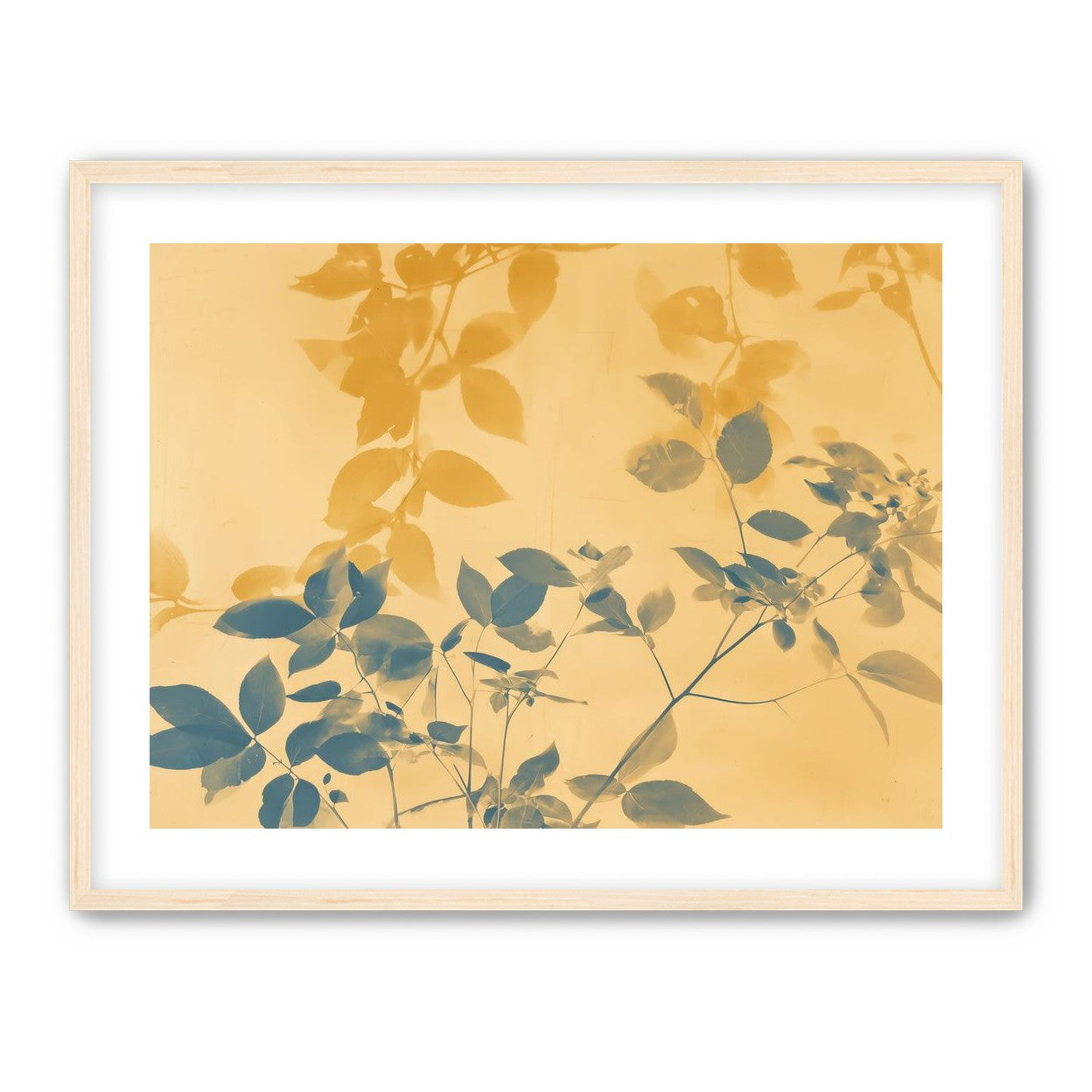 Pressed Leaves Recorded