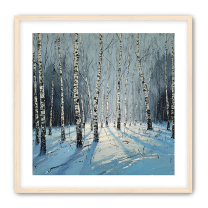 Birch Trees in Winter Light