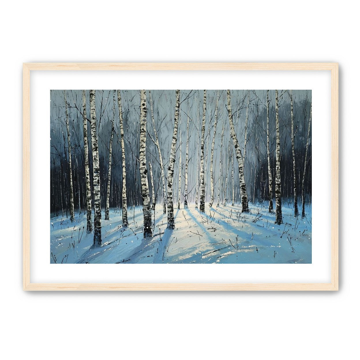 Birch Trees in Winter Light