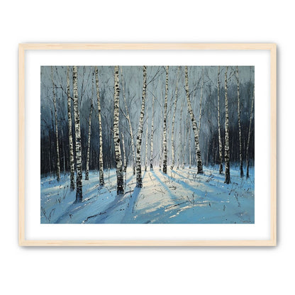 Birch Trees in Winter Light