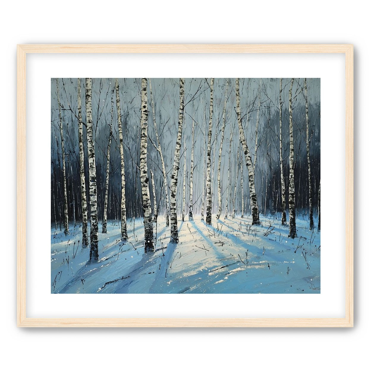 Birch Trees in Winter Light