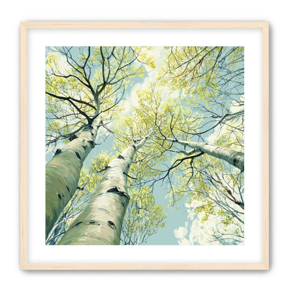 Branches Holding Light