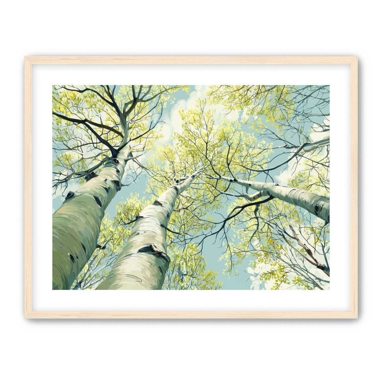 Branches Holding Light