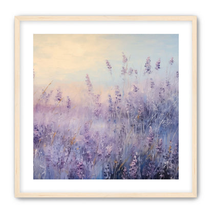 Lavender Fields