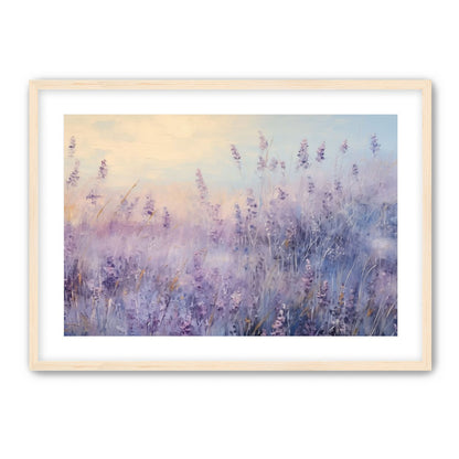 Lavender Fields