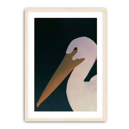 White pelican in stillness