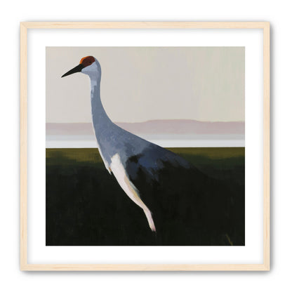 Crane with a red crown