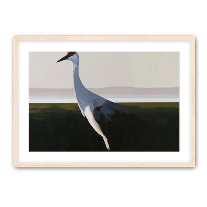 Crane with a red crown