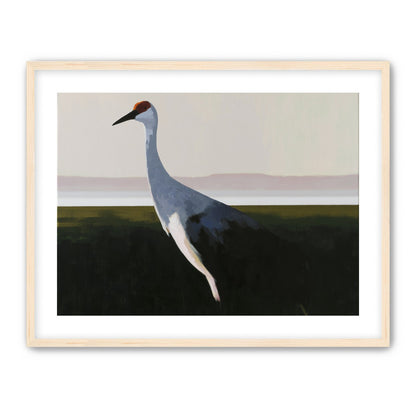 Crane with a red crown