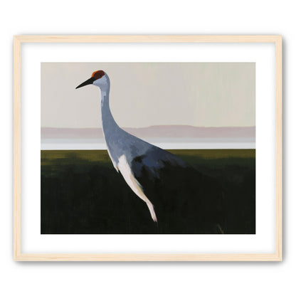 Crane with a red crown