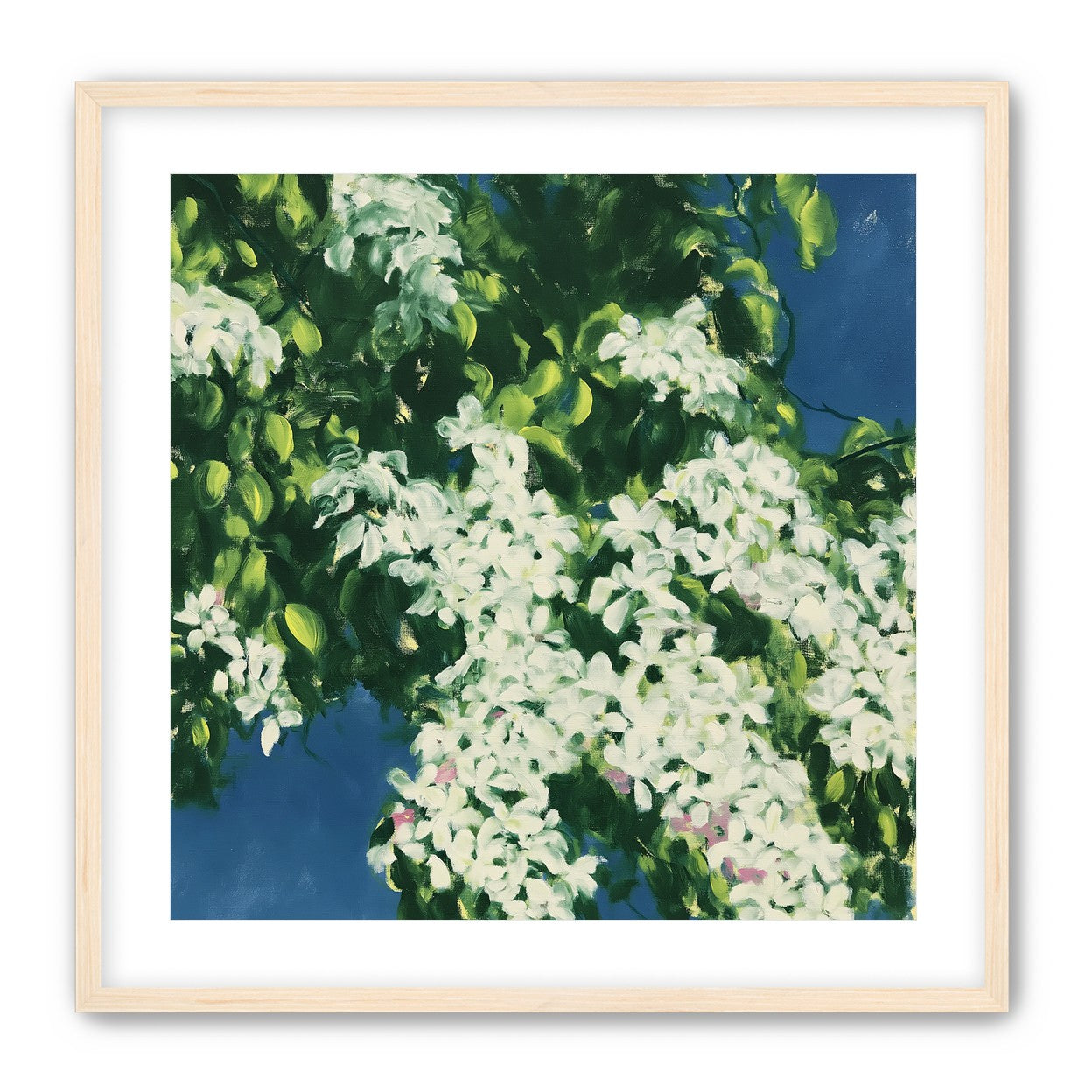 White blossoms on blue field