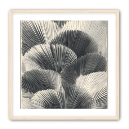 Ginkgo leaves in shadow
