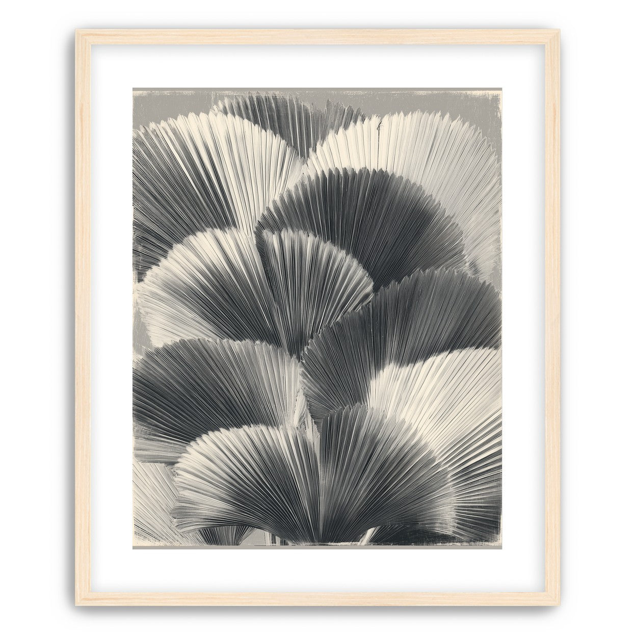 Ginkgo leaves in shadow