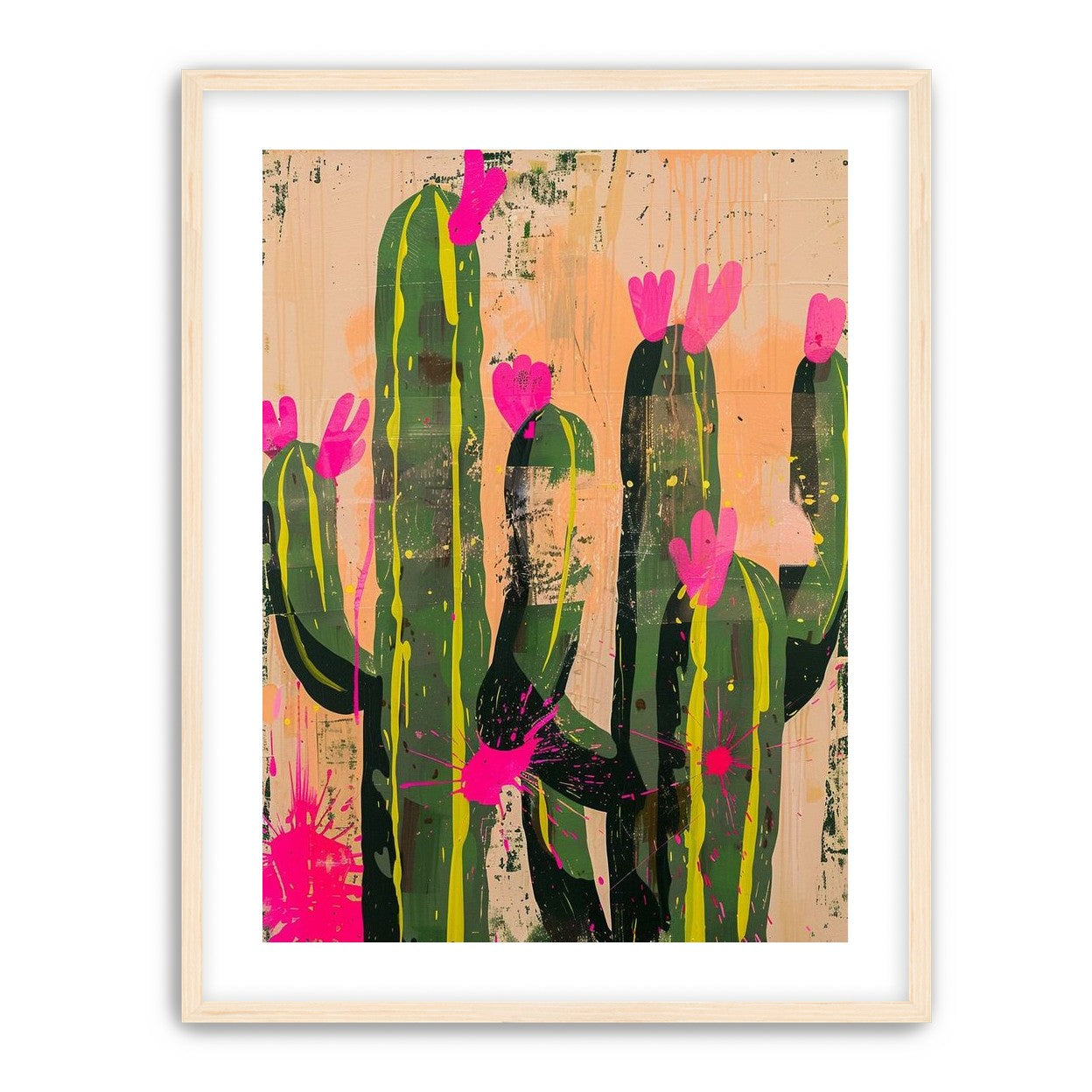 Pink blooms on cacti