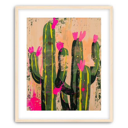 Pink blooms on cacti
