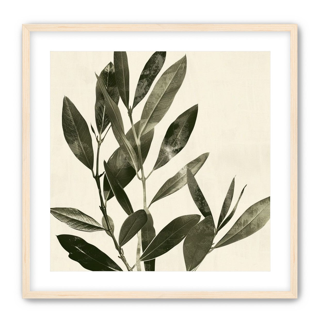 Dark leaves on pale field