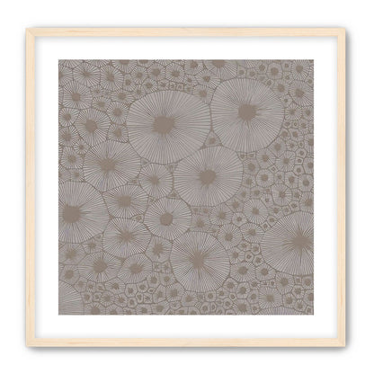 Bold Coral