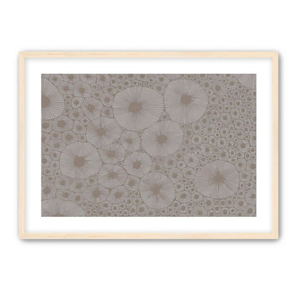 Bold Coral