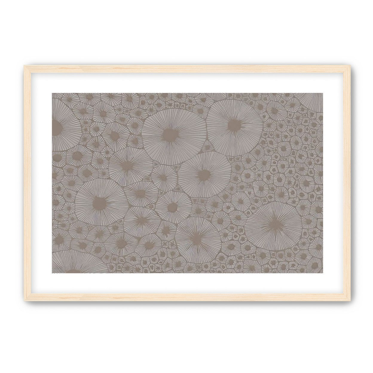 Bold Coral