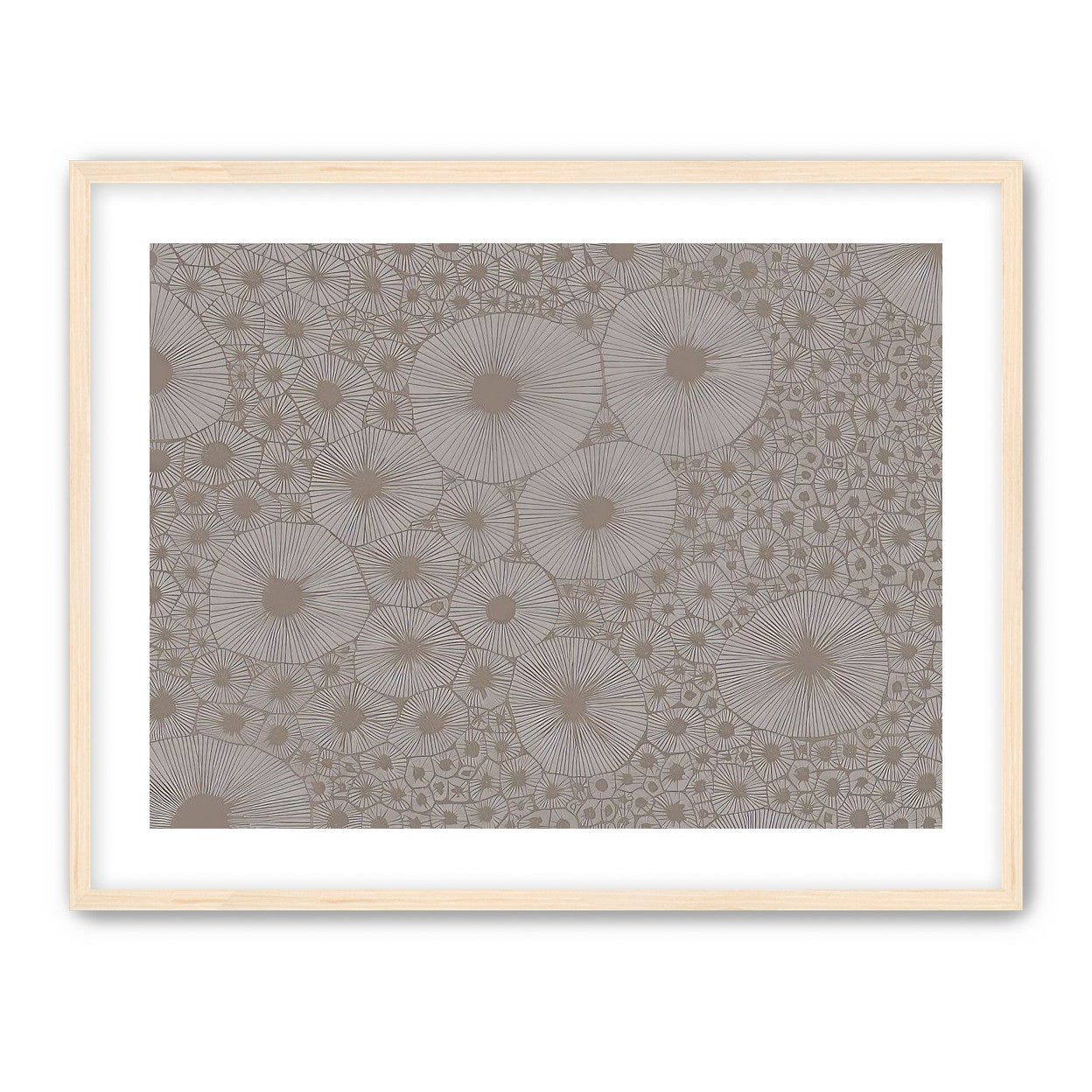 Bold Coral