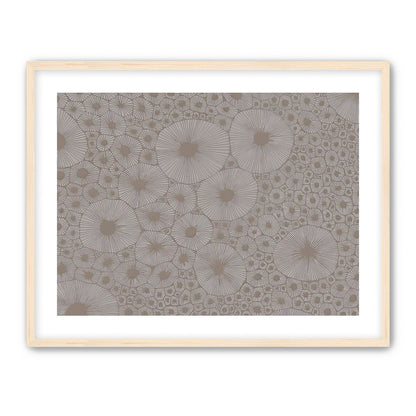 Bold Coral