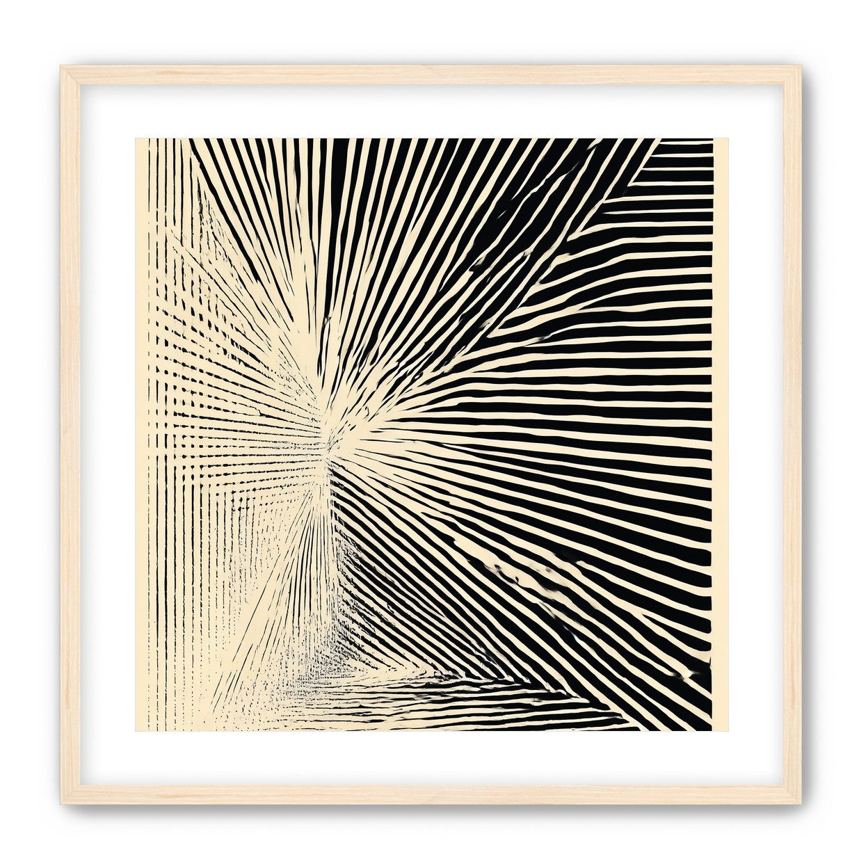 Convergence within black stripes