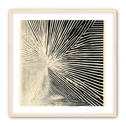 Convergence within black stripes