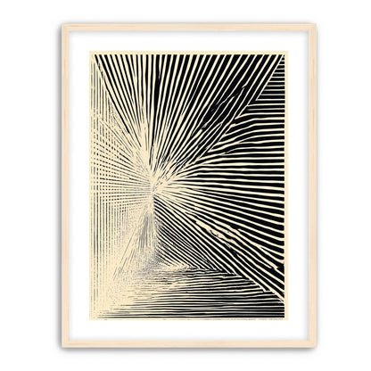 Convergence within black stripes