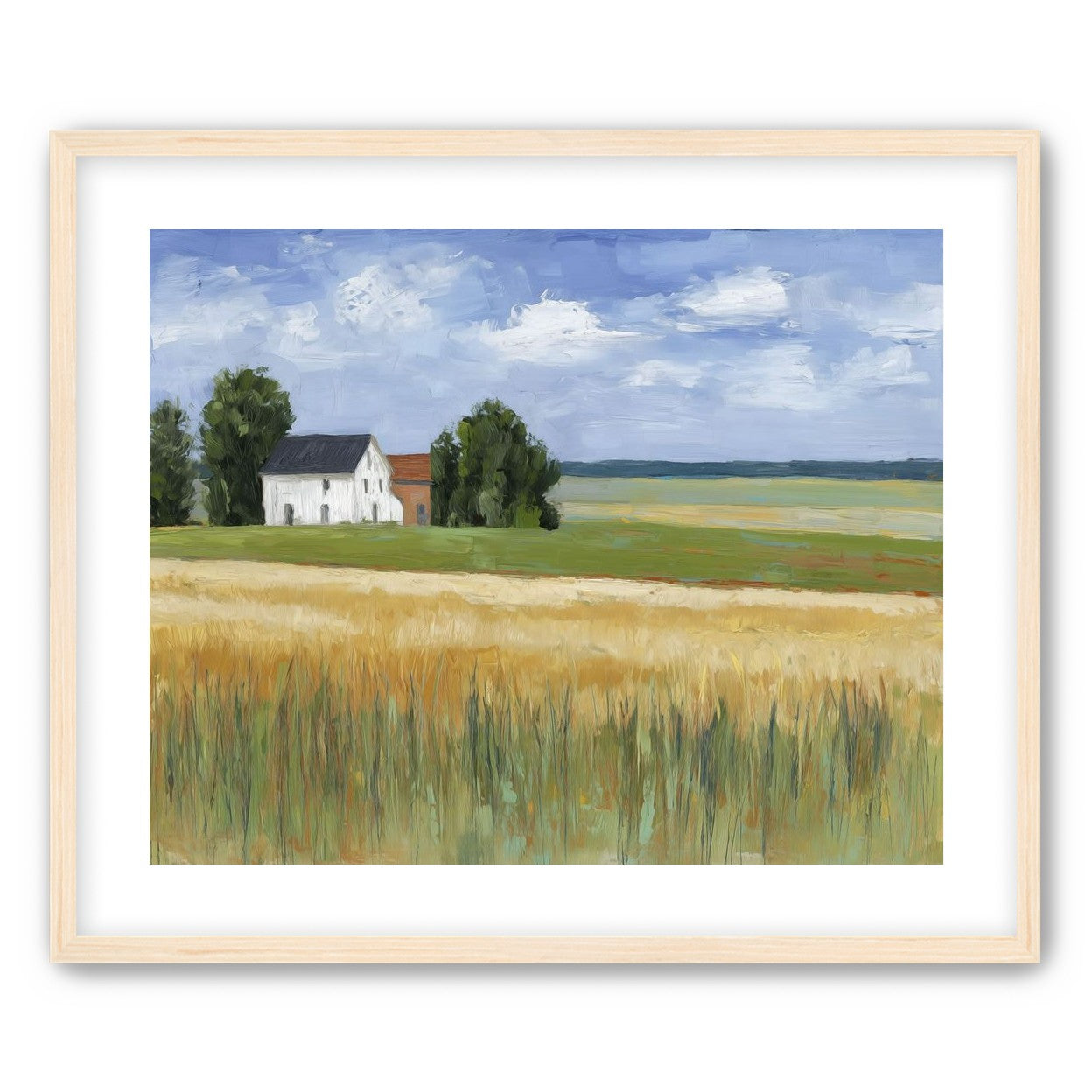 Grain Field Under Sun