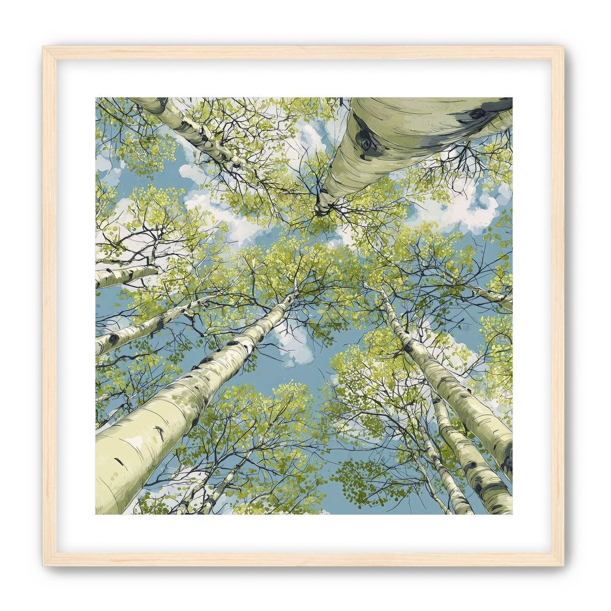 Aspen Canopy I