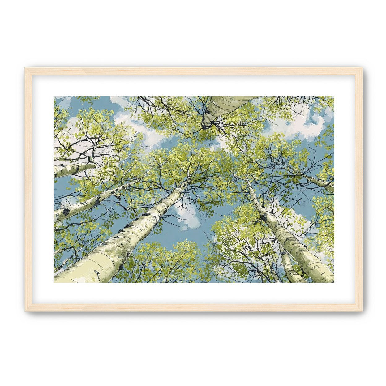 Aspen Canopy I