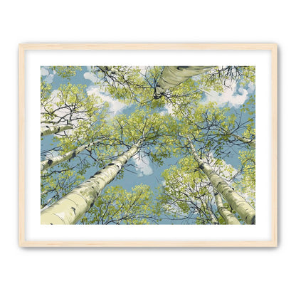 Aspen Canopy I