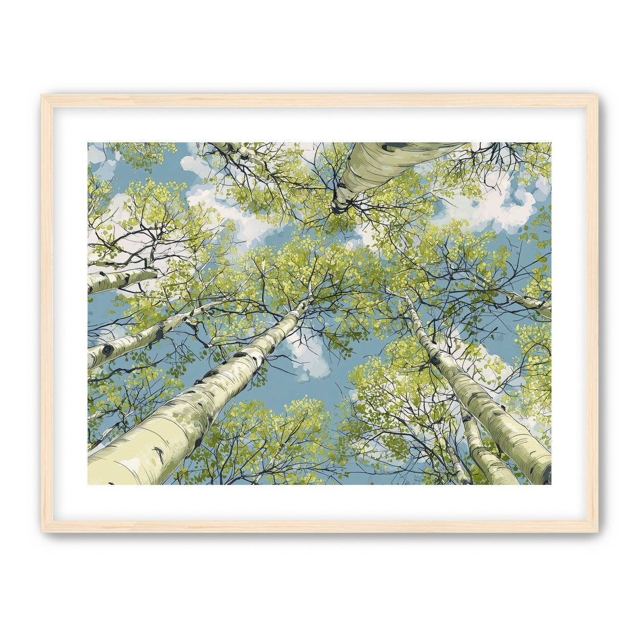 Aspen Canopy I