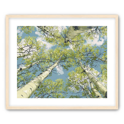 Aspen Canopy I