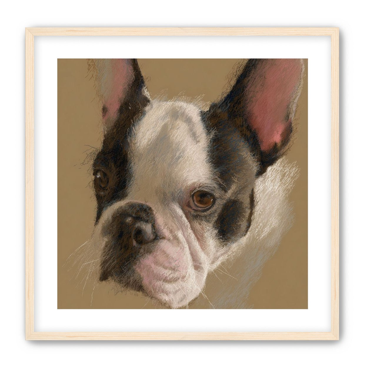 Close portrait with upright ears