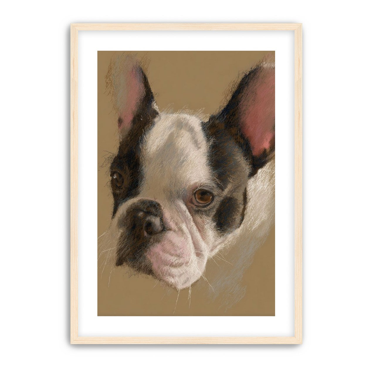 Close portrait with upright ears