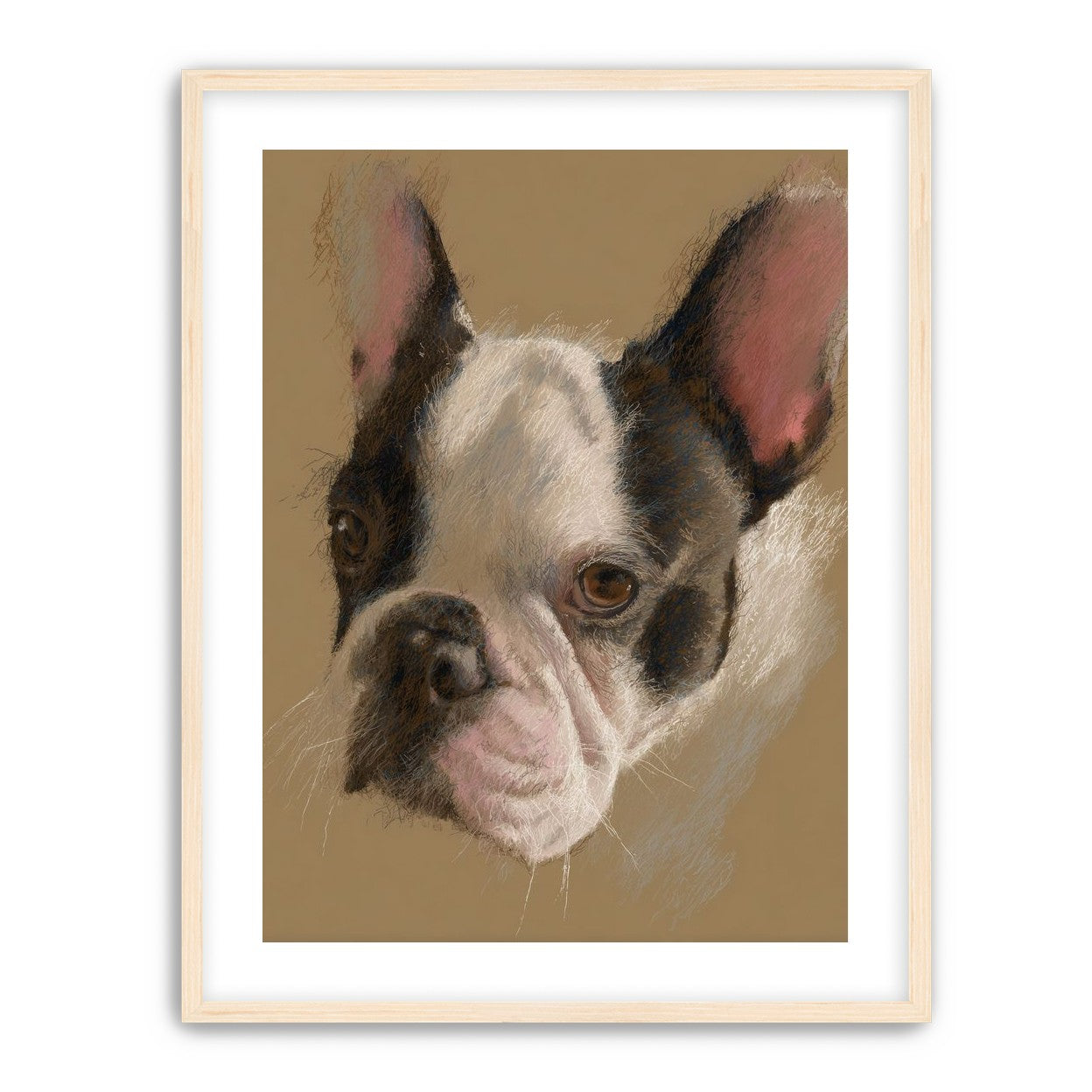Close portrait with upright ears
