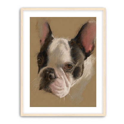 Close portrait with upright ears