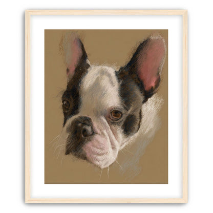 Close portrait with upright ears