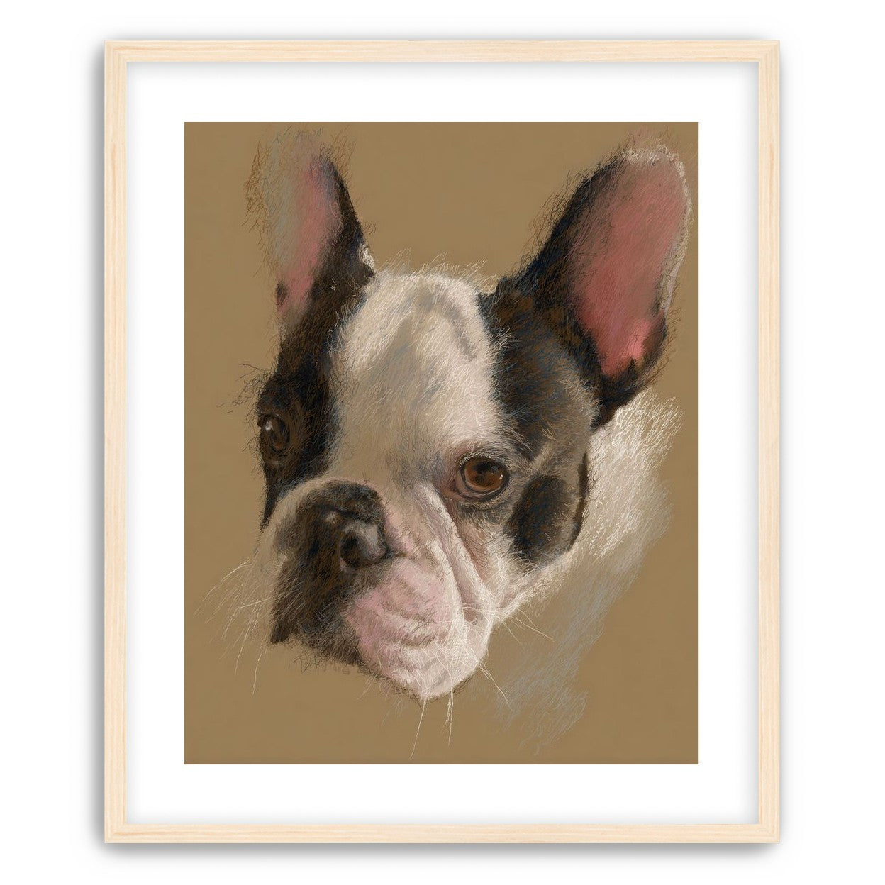 Close portrait with upright ears